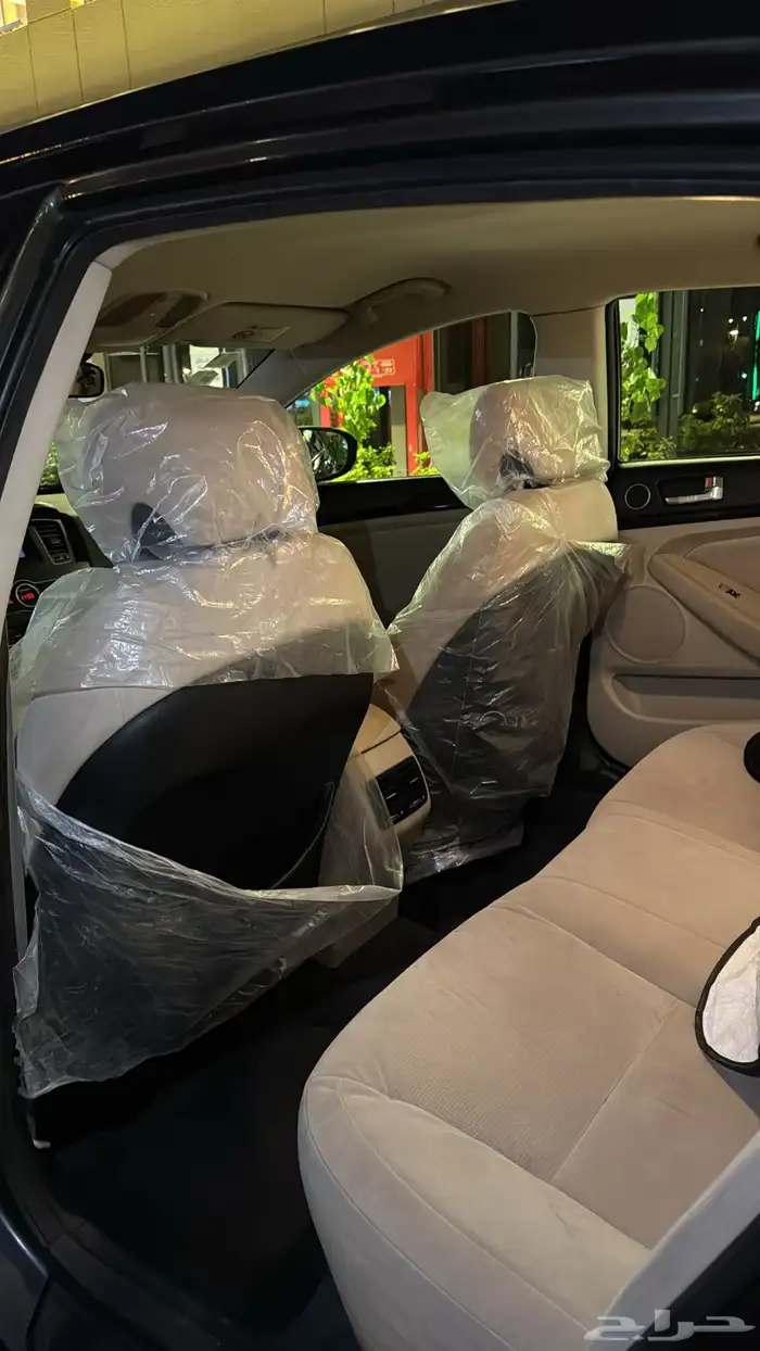 كادينزا 2014 6