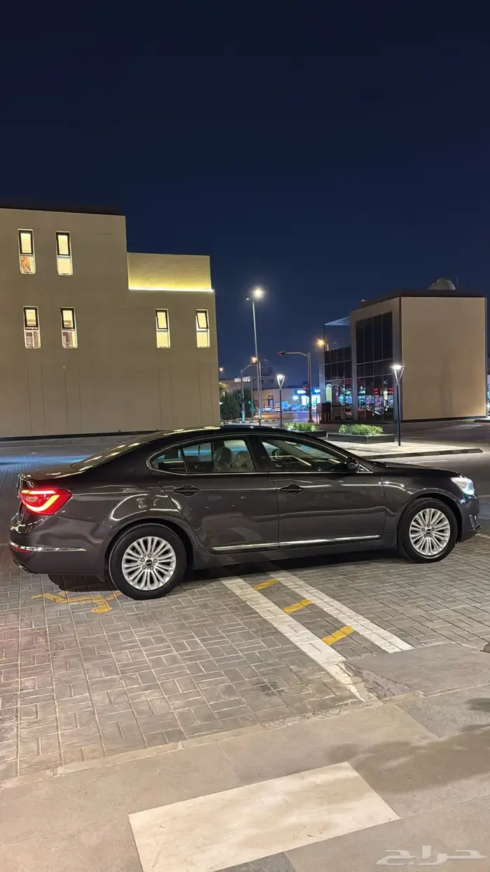 كادينزا 2014 9