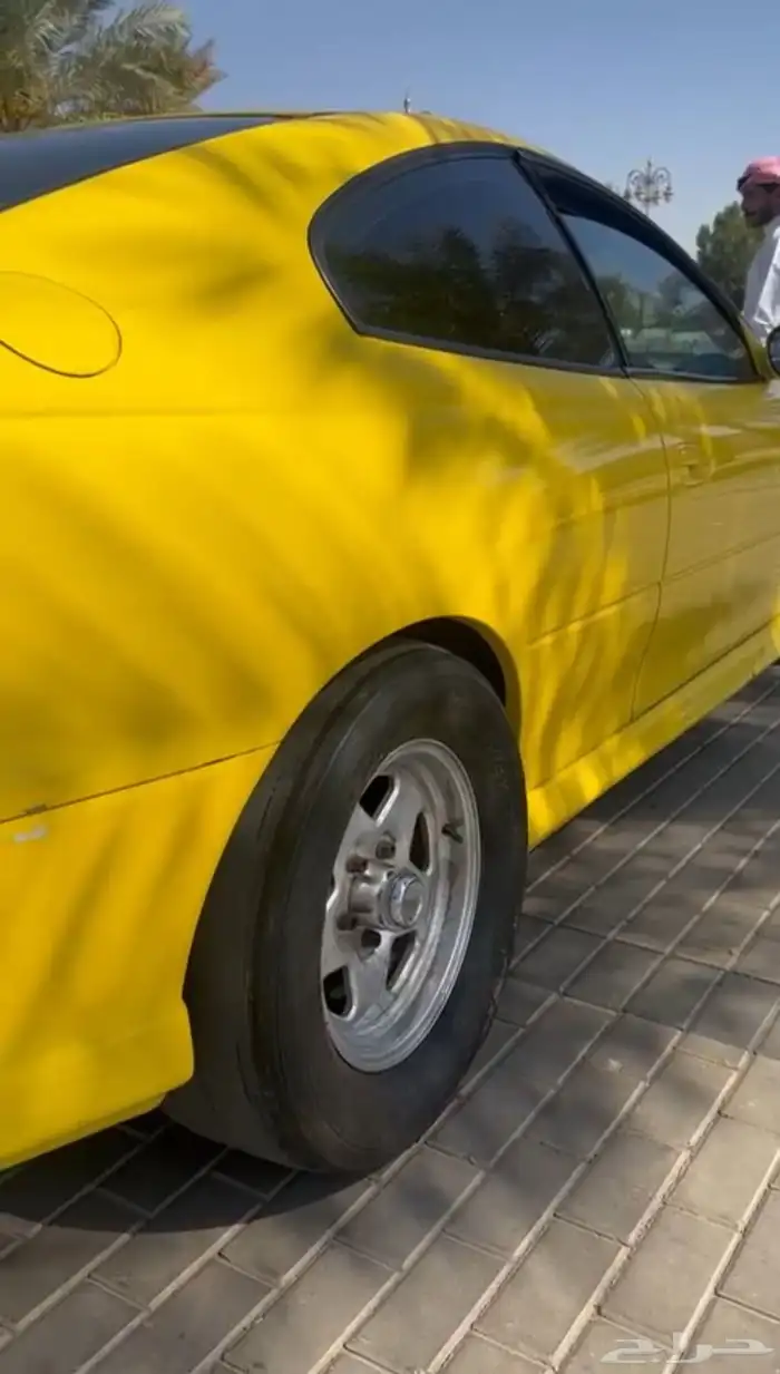 لومينا كوبية 0