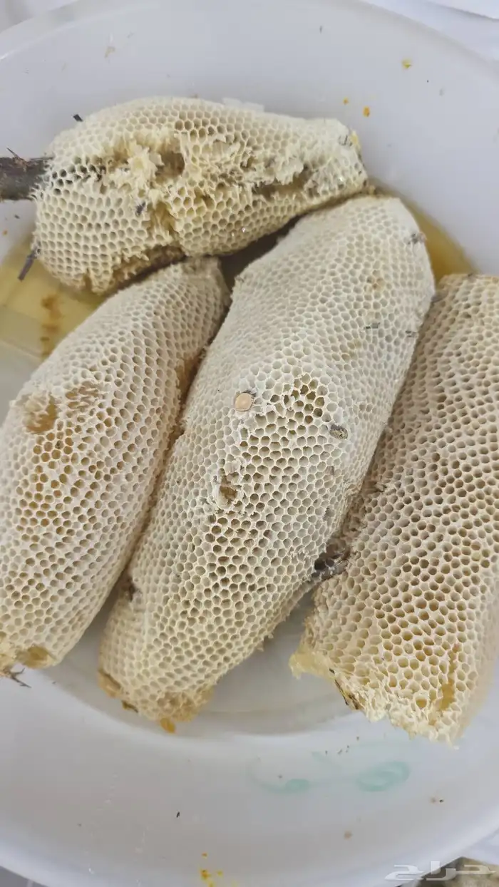 عسل شمع سدر تهامة حر 7