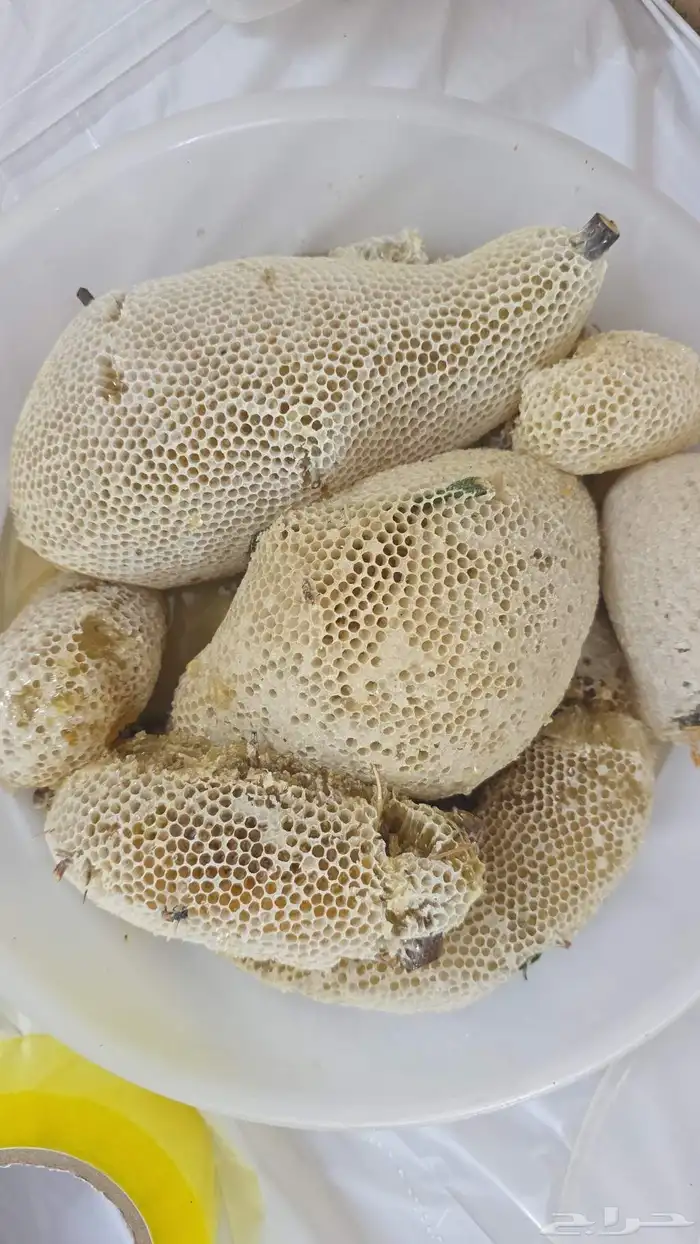 عسل شمع سدر تهامة حر 5