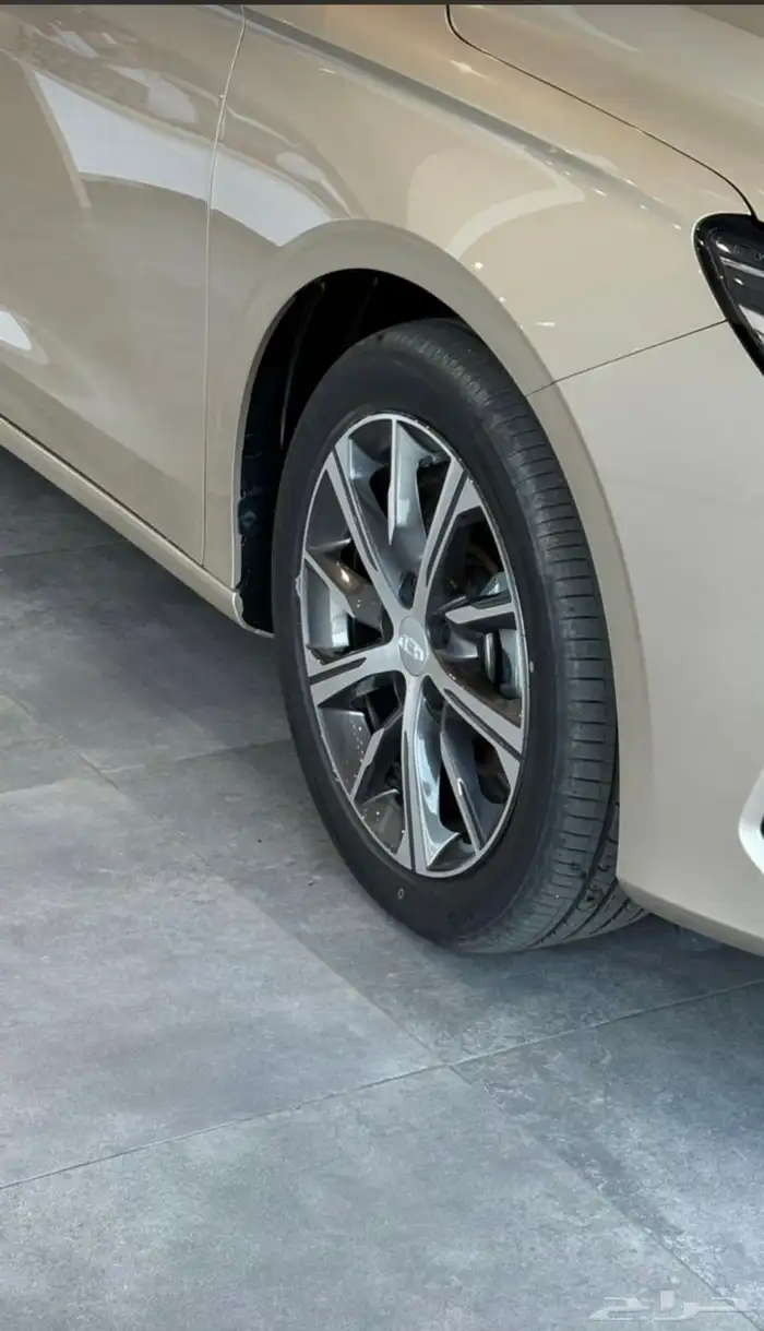 عرض نوفمبر على امجراند الفل 5