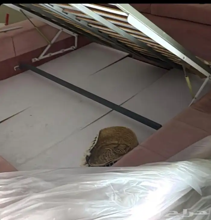 اثاث فاخر بسعر ممتاز 4