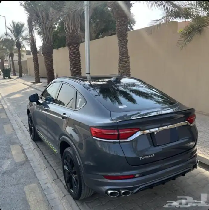 جيلي توجيلا للتنازل 2