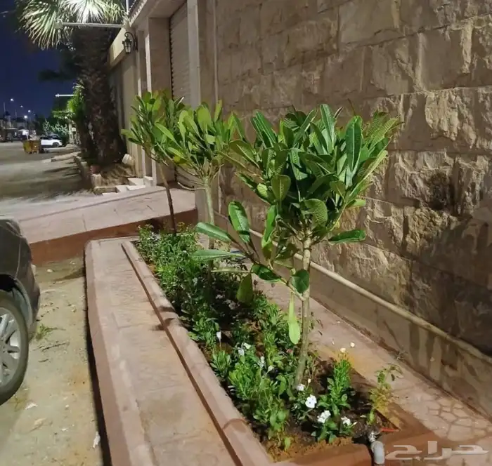 مشتل الزرع الطبيعي 2