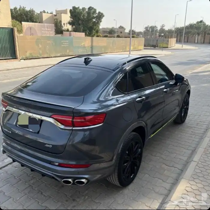 جيلي توجيلا للتنازل 3