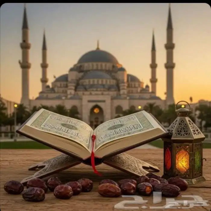 محفظ قرآن كريم 0