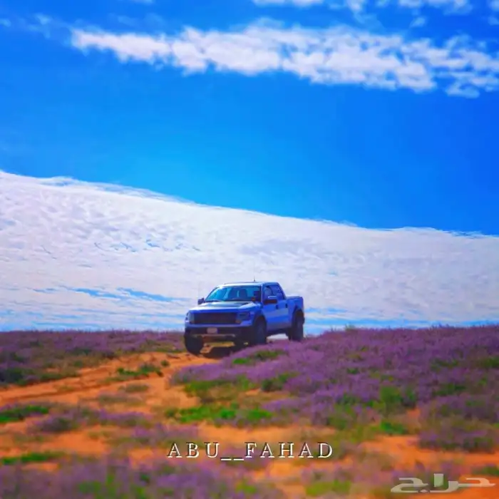 فورد F150 Raptor 1