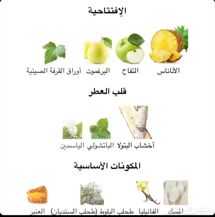 عطر فرنسي أنسركشن ثابت على عرض نصف سعره 1