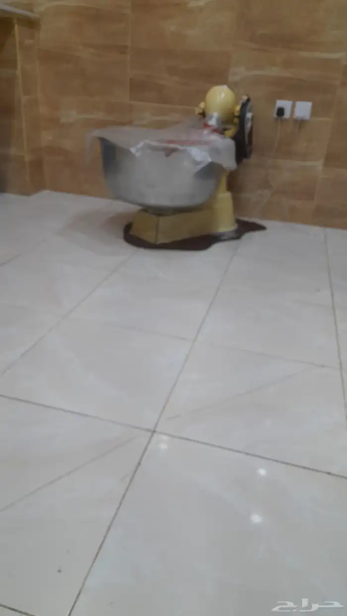 للبيع عجانه 50 كيلو 0