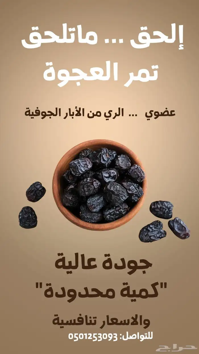 للبيع تمر عجوة المدينة المنورة 0