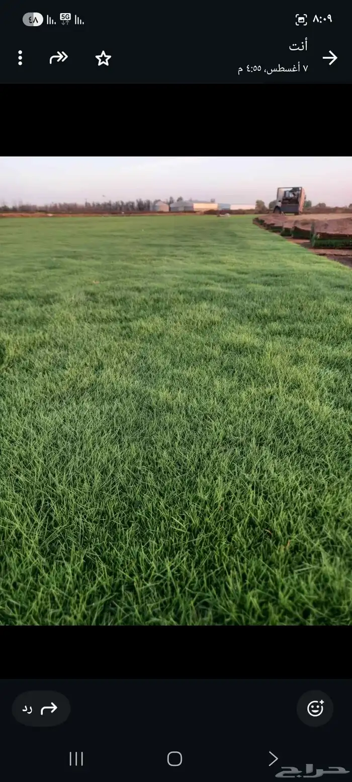 ثيل طبيعي سي 2000 درجه اولى صافي ونقي على الشرط شكل جمالي وخ 0