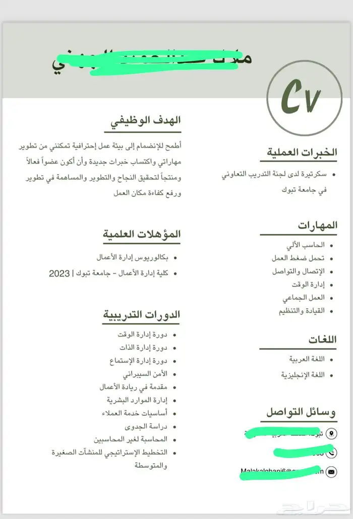 سي في احترافي 28