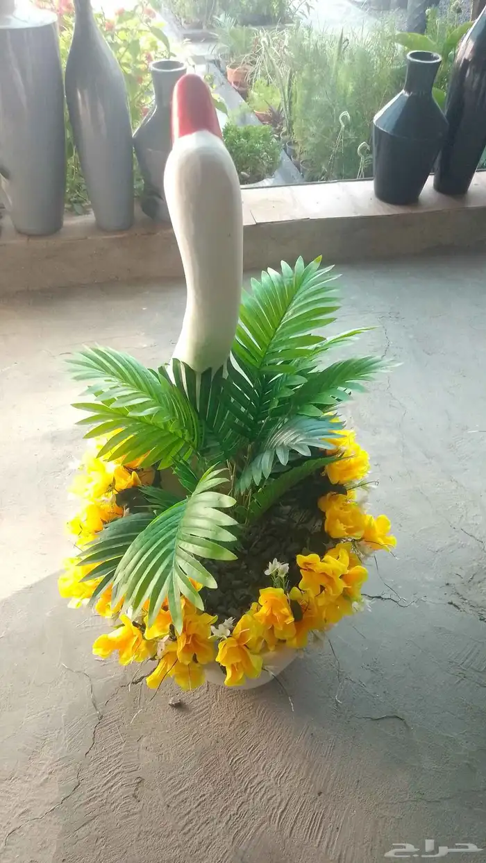 مؤسسة زهرة الخليج الزراعية -نجران -دحضة 2