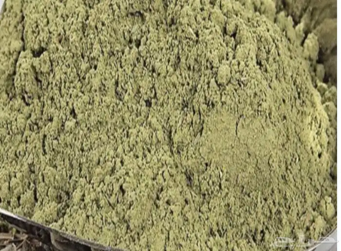 حنا صافي وسدر 1