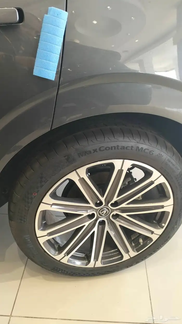 تصفيات 2025 شانجان يوني كي 3