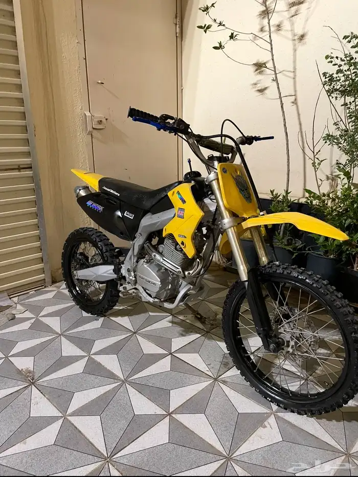 دباب صحراوي 0