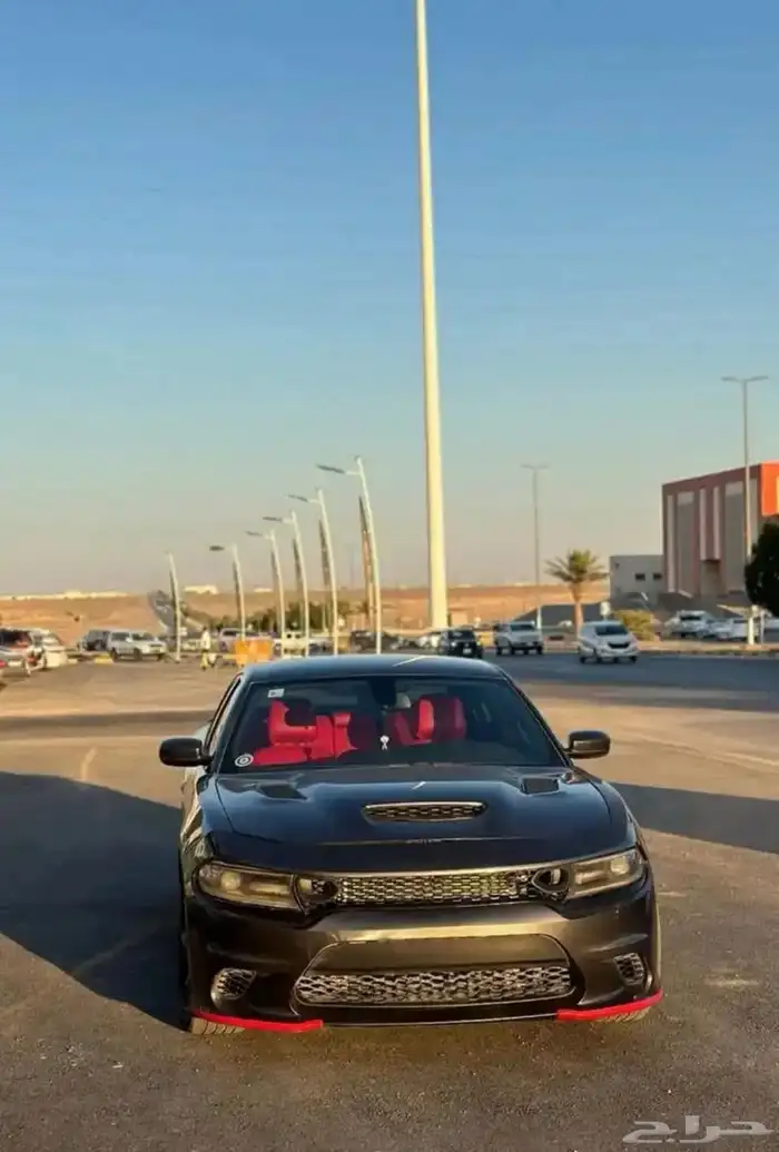 دوج للبيع 10