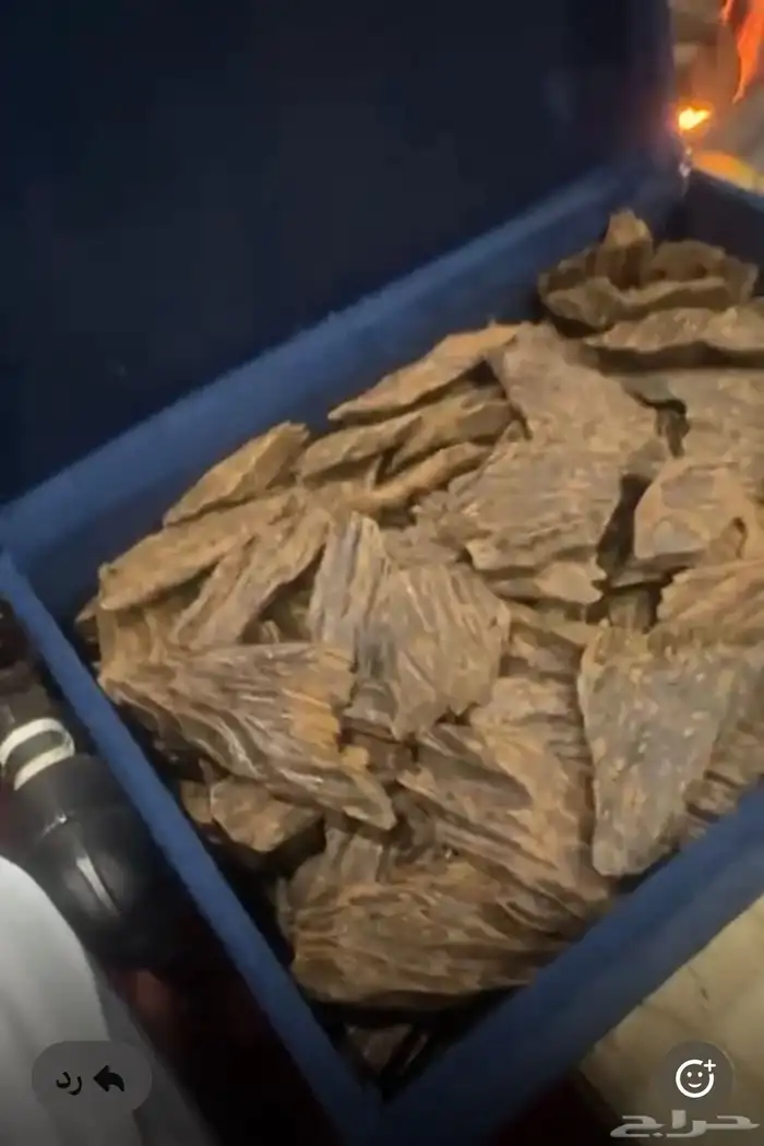 عود ازرق كلمتان تحطيم الاسعار 1