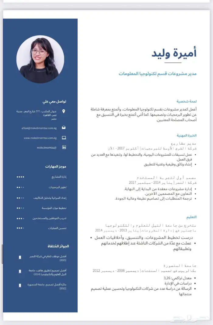 تصميم سيرة ذاتيه احترافيه 2