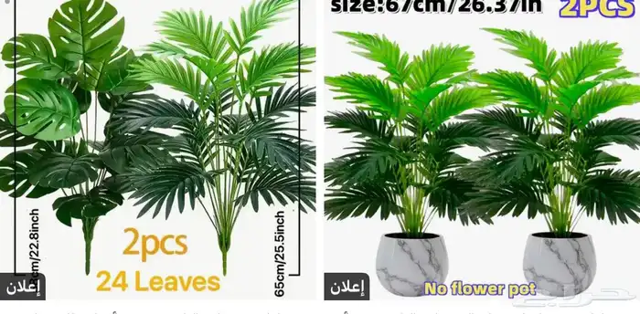 كنب وأرفف 10