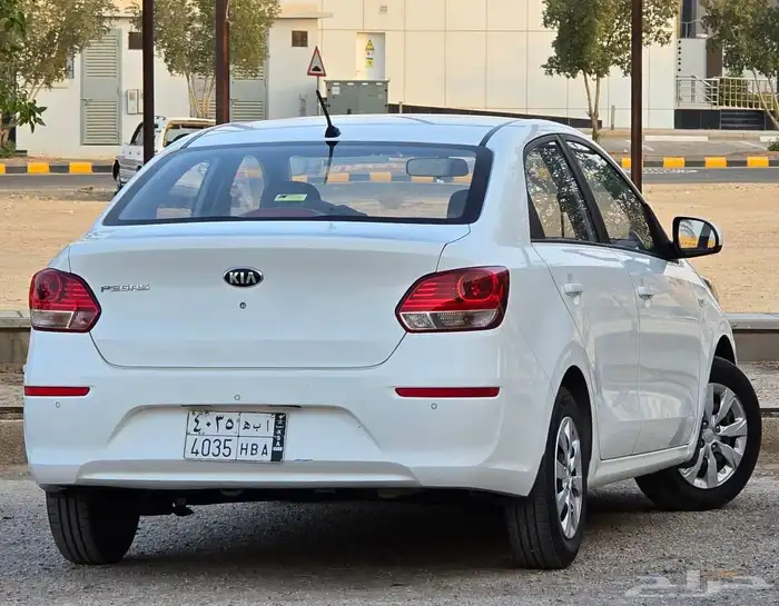 بيجاس 2020 إستاندر 5