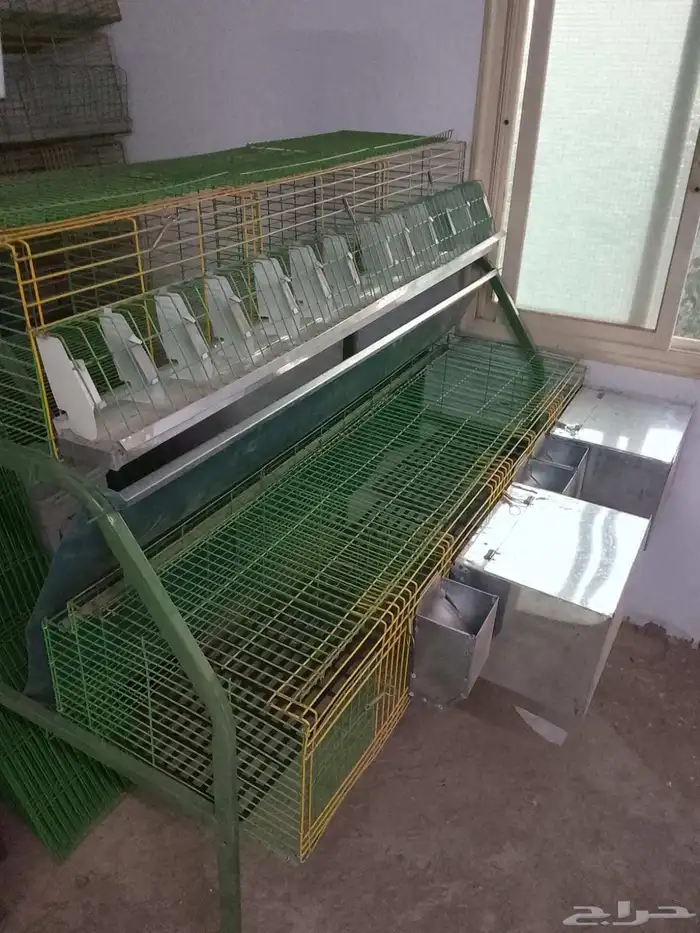 بطاريات ارانب 1