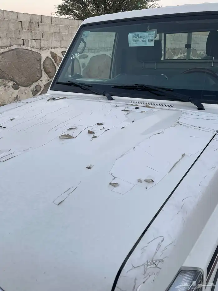 شاص 2021 خليجي 7