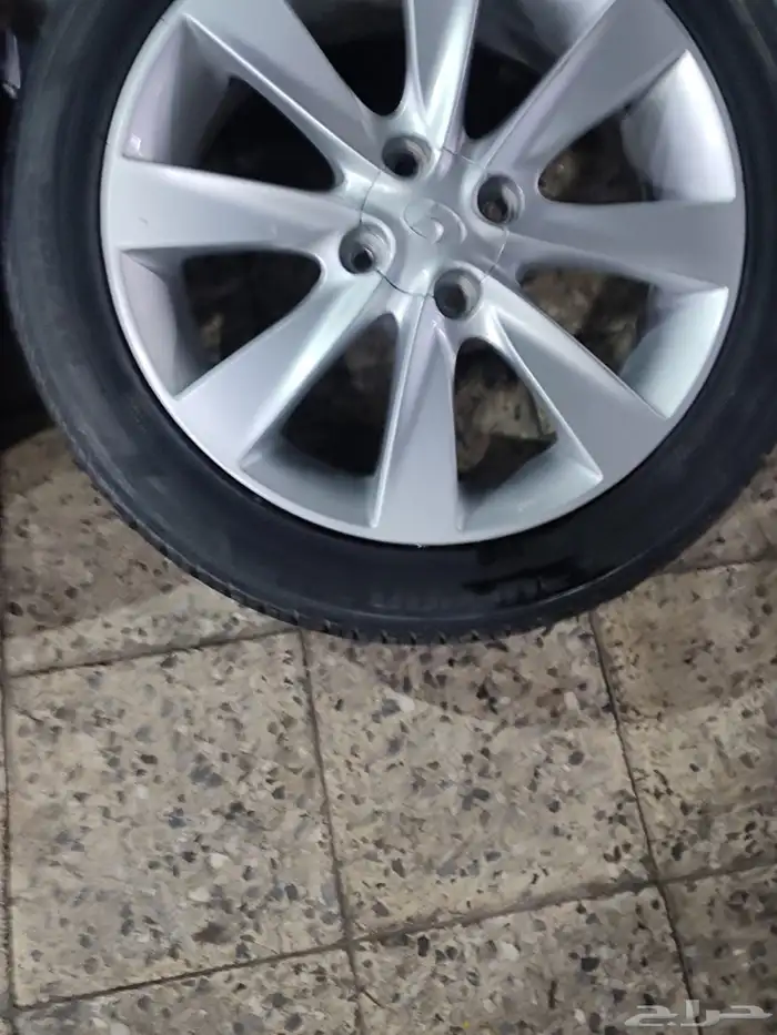 جنوط اكسنت 2