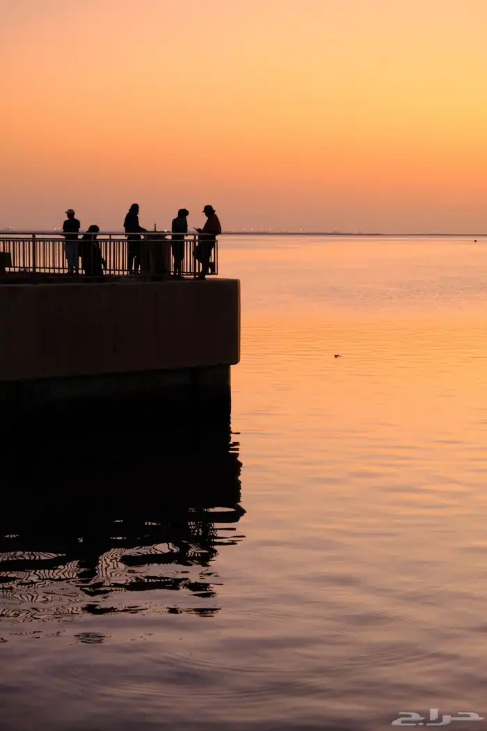 كاميرا فوجي مع عدستين جديدة ونظيفة   XT-30 II 9