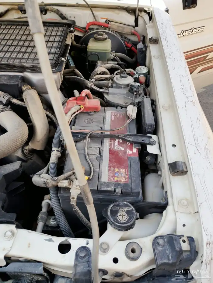 شاص غمارتين 2019 10