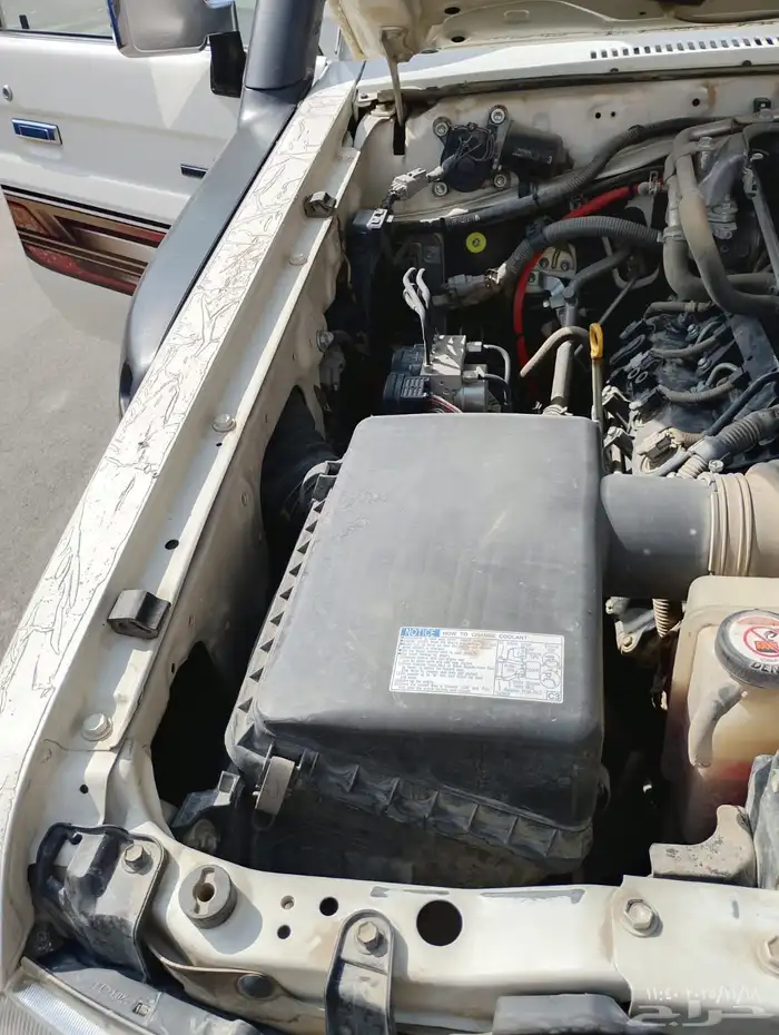 شاص غمارتين 2019 11