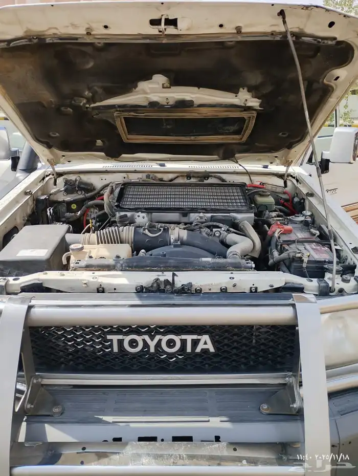 شاص غمارتين 2019 9