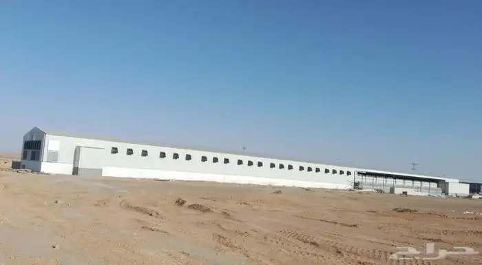 مقاول حظاير الدواجن سعر مناسب 0