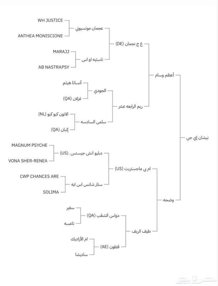 حصان واهو اصيل 3