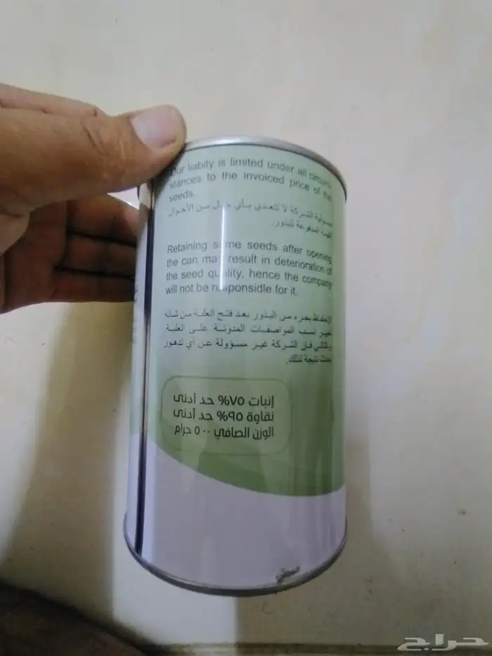 بذور بصل با فطيم يمني 0