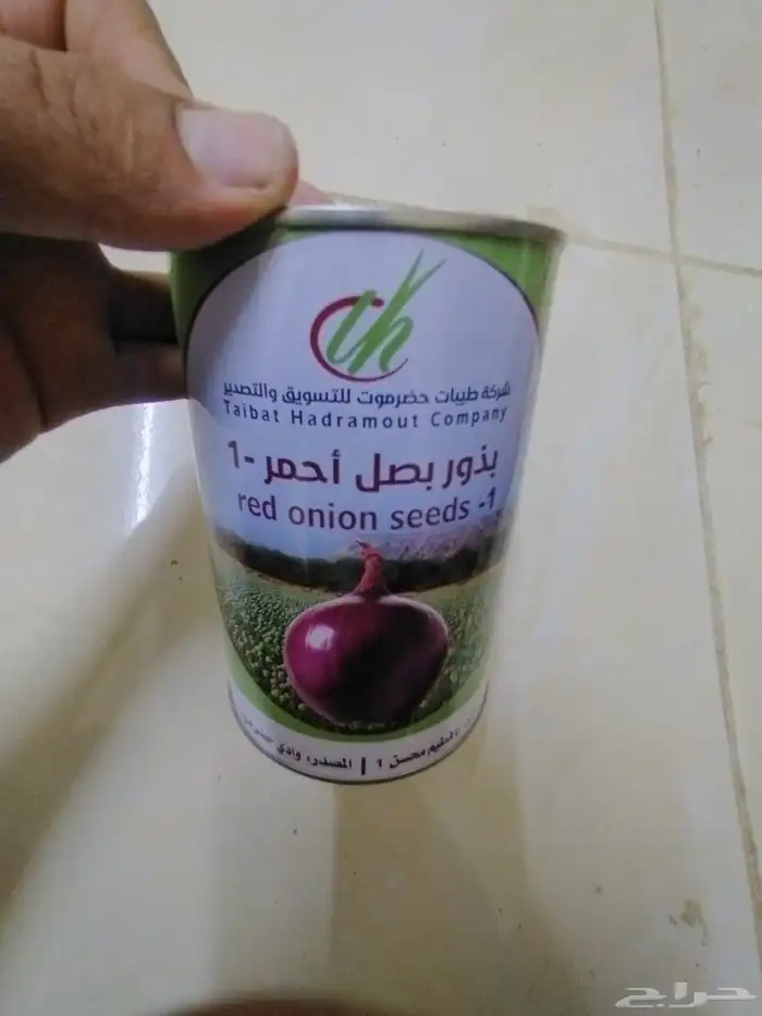 بذور بصل با فطيم يمني 1