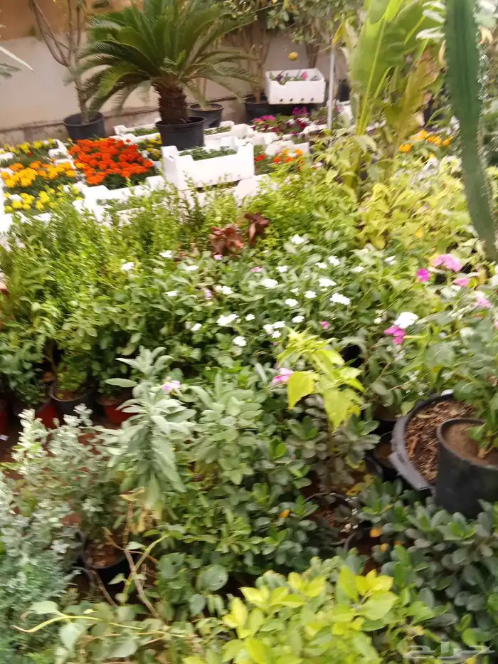 مشتل تنسيق حدائق 3