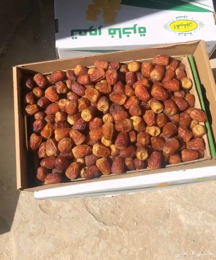 تمر سكري جالكسي الطيبين من مزارعنا بالقصيم 0