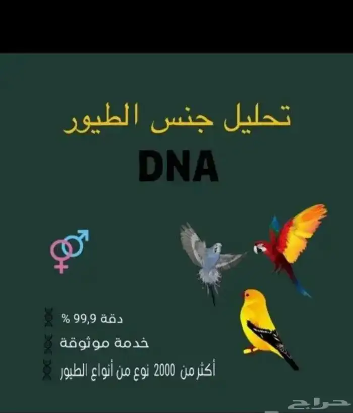 تحليل طيور لمعرفت الجنس DNA 0