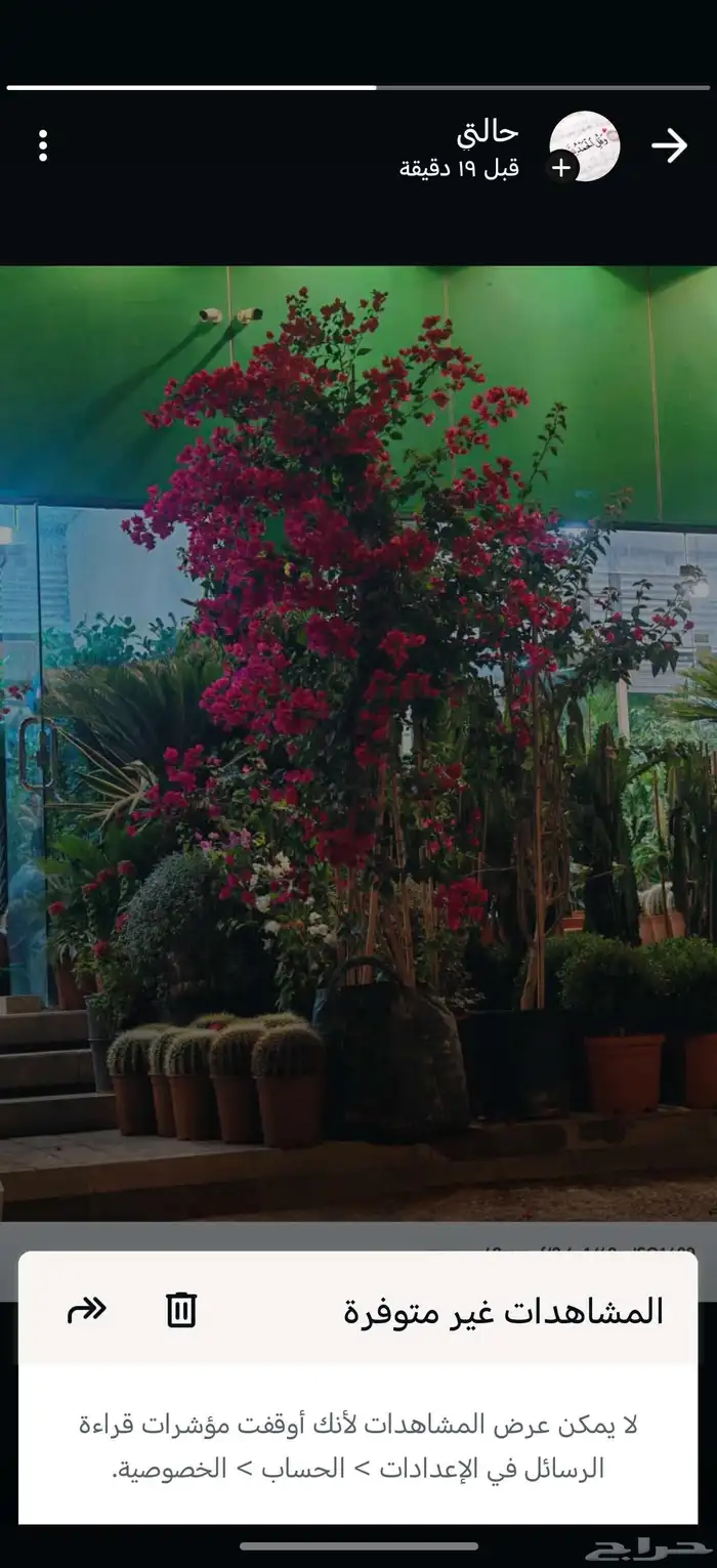 الزراعة الثيل الطبيعي وتركيب شبكات الري العادي والاتوماتيك 9