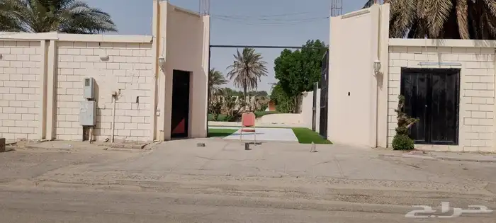 تأجير طاولات وكراسي 2