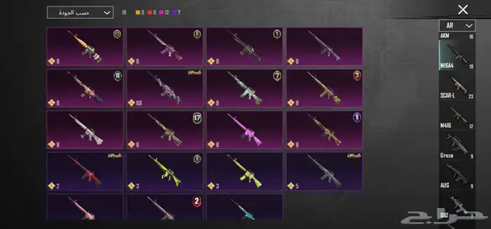 حساب ببجي للبيع PUBG 17