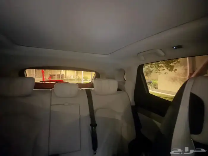 جيتور داشينج 2025 6