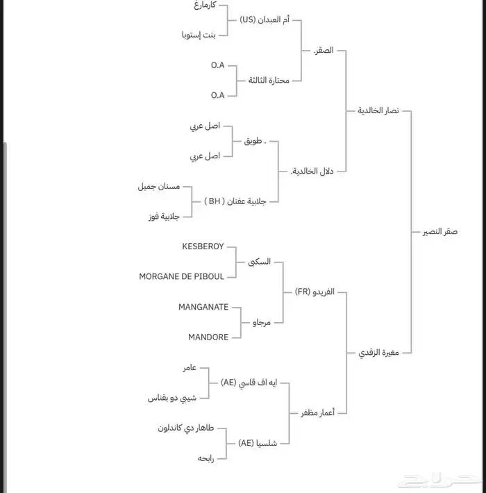 حصان ورق سرعه 1