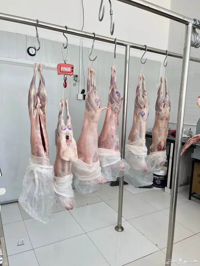 لحوم   مبردة وطازجة بأرخص الأسعار واعلي جودة 0