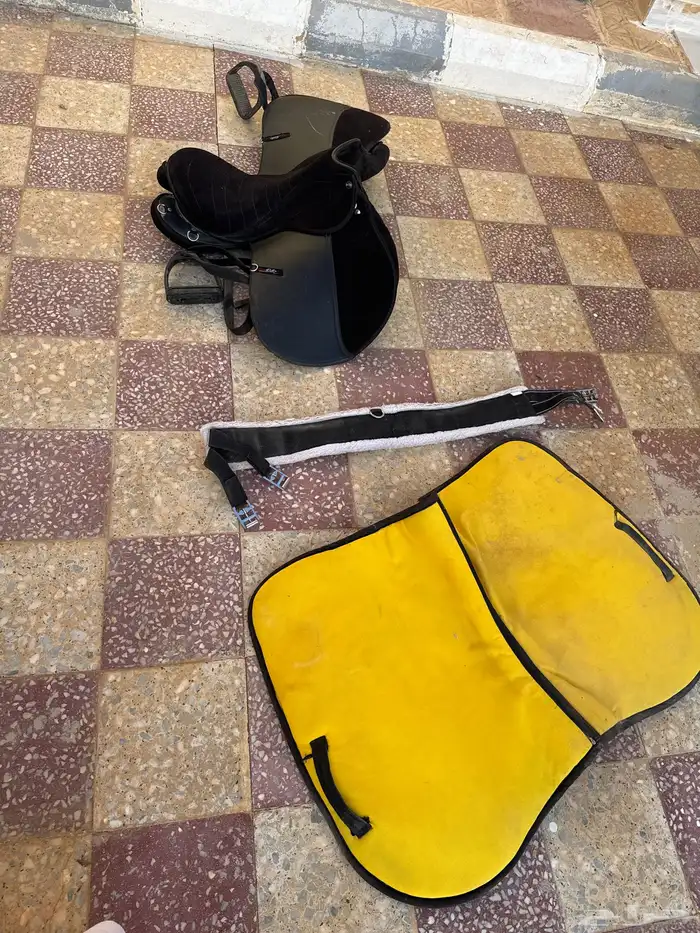 سرج خيل للبيع 0