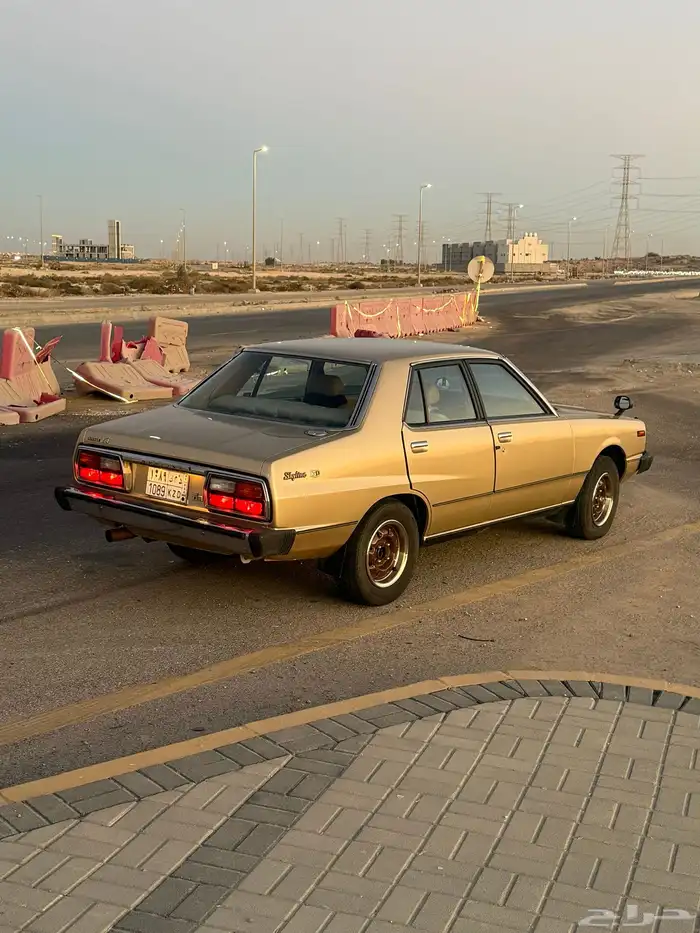 سكايلاين 79 1