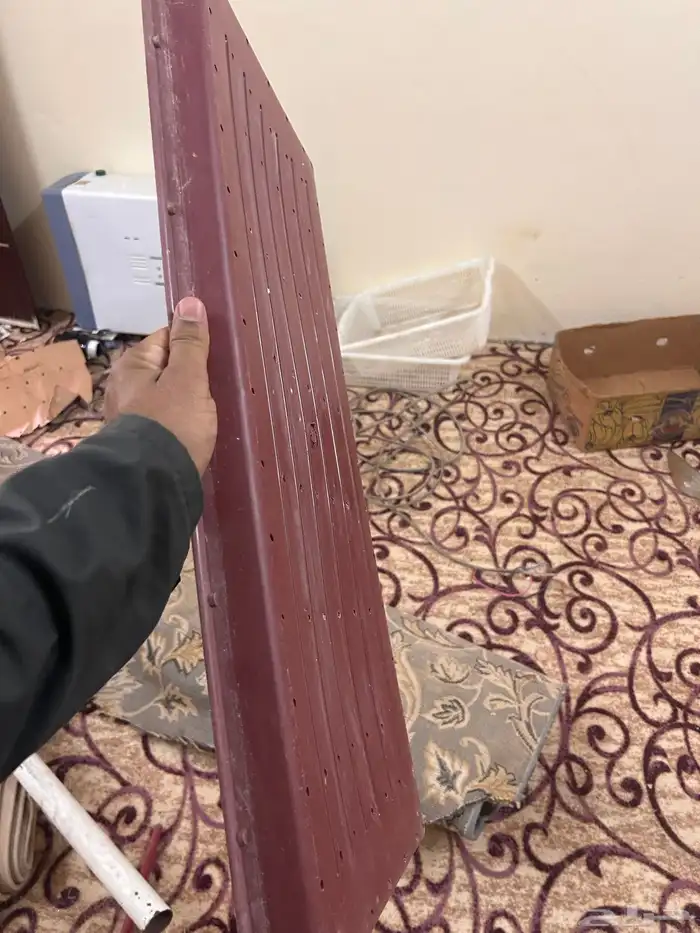 ويوجد صحون استمبات شعير 2