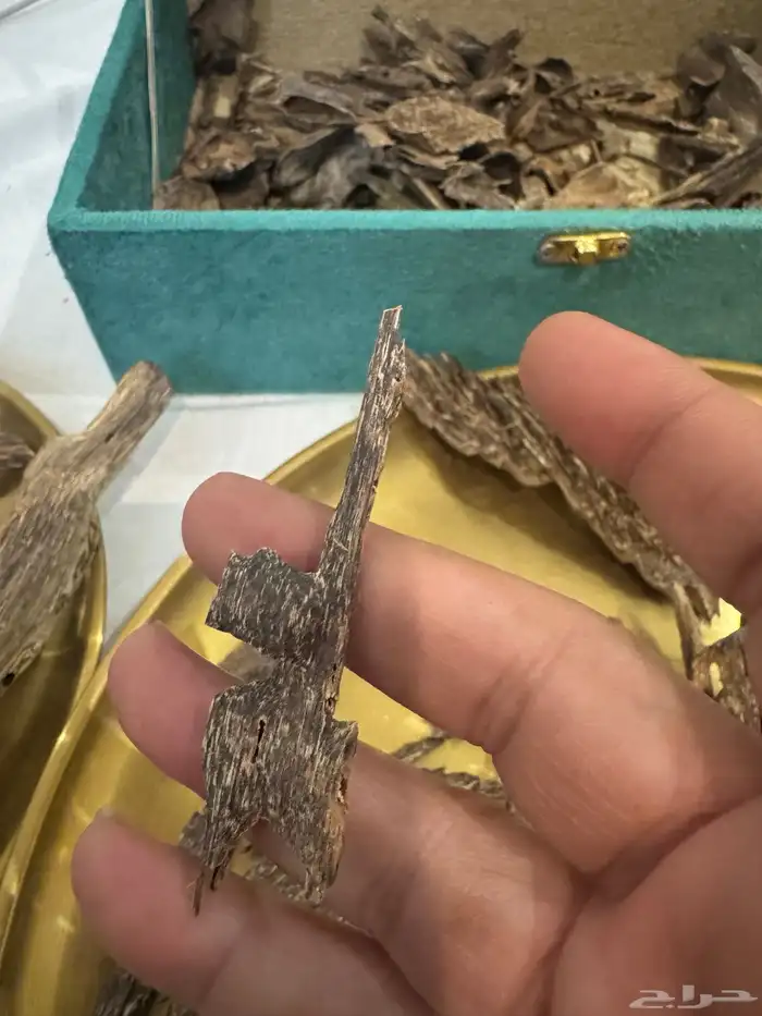 عود بنكاوي درجه عاليه طبيعي 100   100 8